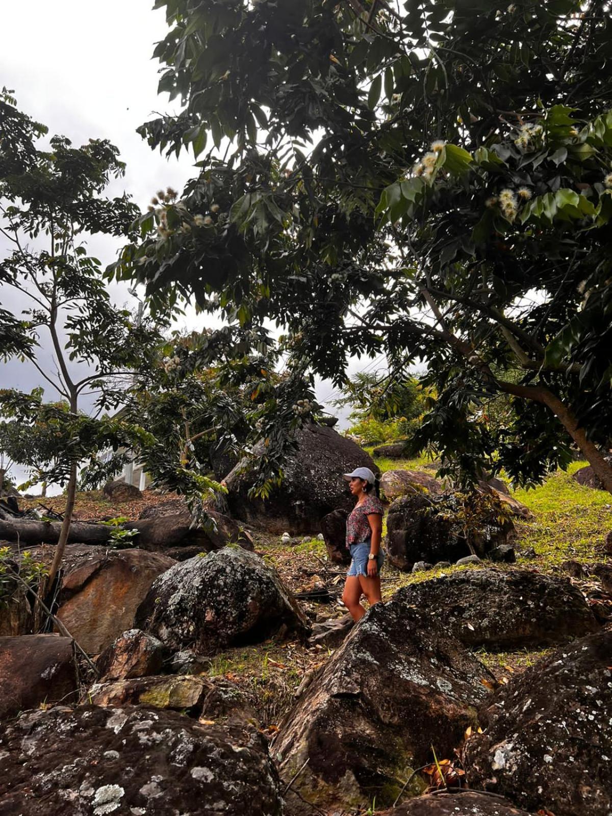 Finca Don Matias Melgar Ngoại thất bức ảnh