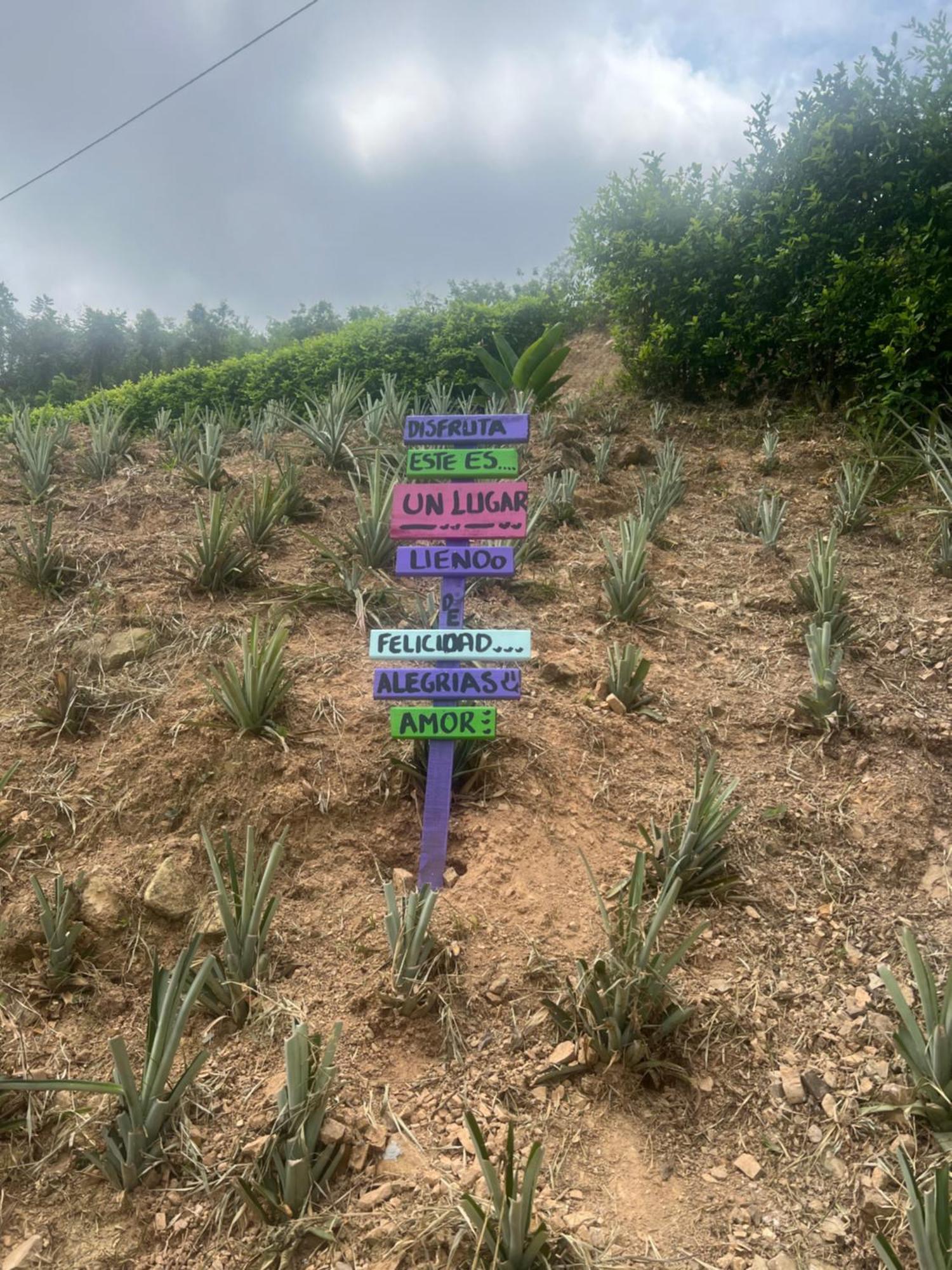 Finca Don Matias Melgar Ngoại thất bức ảnh